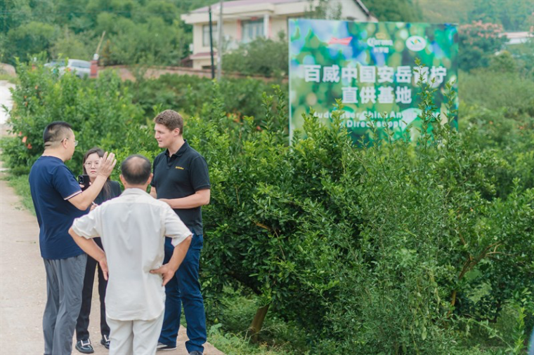 百威中国携手旗下科罗娜品牌孵化“特选青柠公司” 村企联投共绘乡村振兴新图景